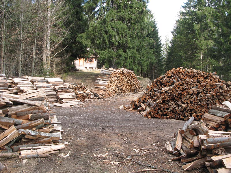 Holz vor der Hütte